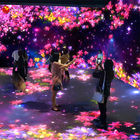 Jogos românticos internos holográficos do projetor 16 de Immersive da parede interativa da AR